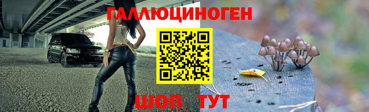Конаково  Галлюциногенные грибы прущие грибы  Вход с VPN 